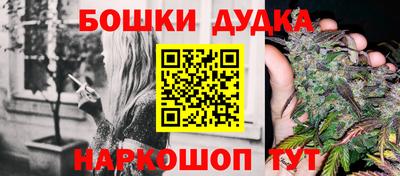 apvp Лесосибирск