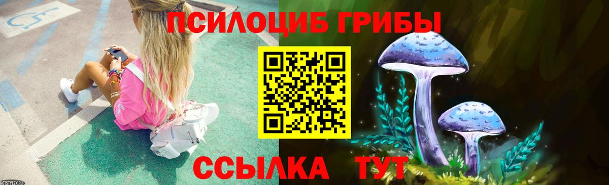 Псилоцибиновые грибы Psilocybe  Вход с VPN  Галлюциногенные грибы GOLDEN TEACHER  Электросталь 
